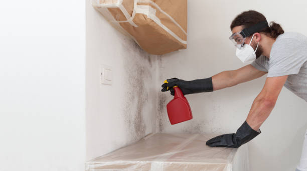 Professional Mold Inspection And Testing technician working in Mears, MI