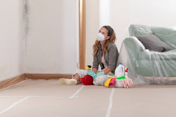 Reliable Mold Inspection And Testing contractor in Mears, MI by 24 Hour Mold Removal